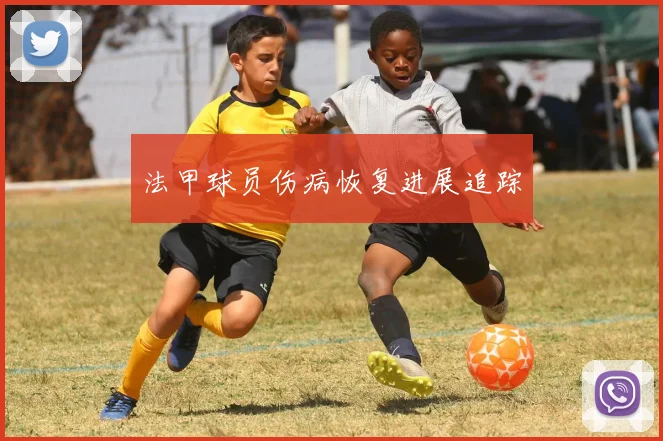 法甲球员伤病恢复进展追踪