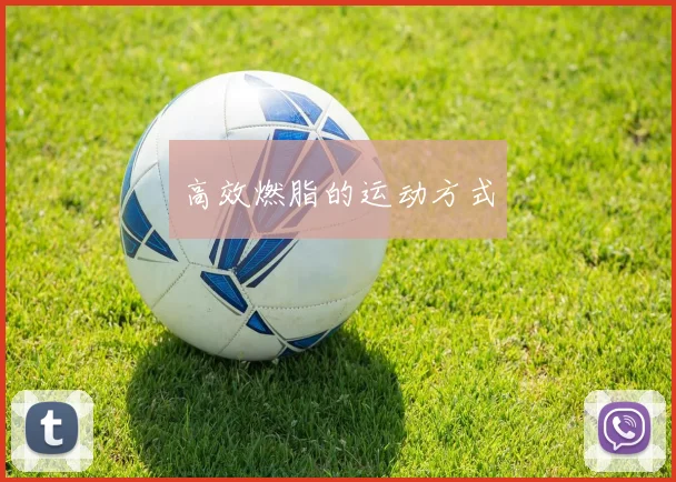 高效燃脂的运动方式